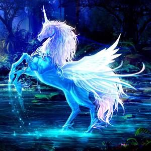 Meet your Posher, Giada